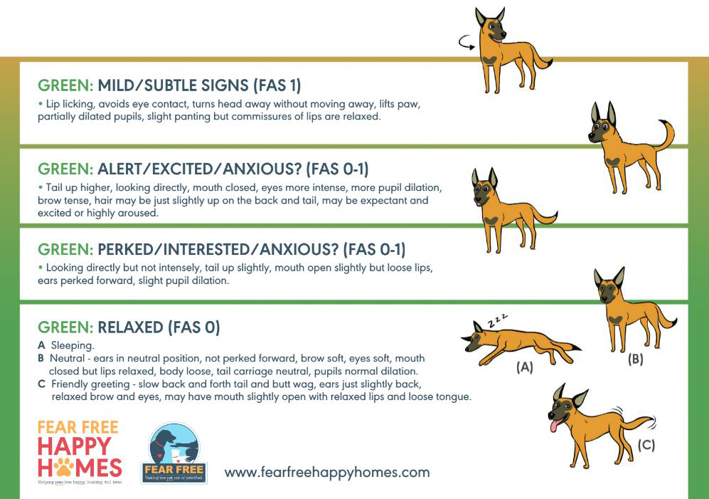 Afrihost on X: How are you feeling today, in dog scale